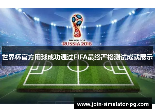 世界杯官方用球成功通过FIFA最终严格测试成就展示