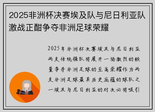 2025非洲杯决赛埃及队与尼日利亚队激战正酣争夺非洲足球荣耀